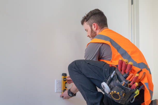 Best Ceiling Fan Installation Electrician  in Grand Rapids, MI
