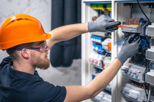Best Electric Panel Repair  in Grand Rapids, MI